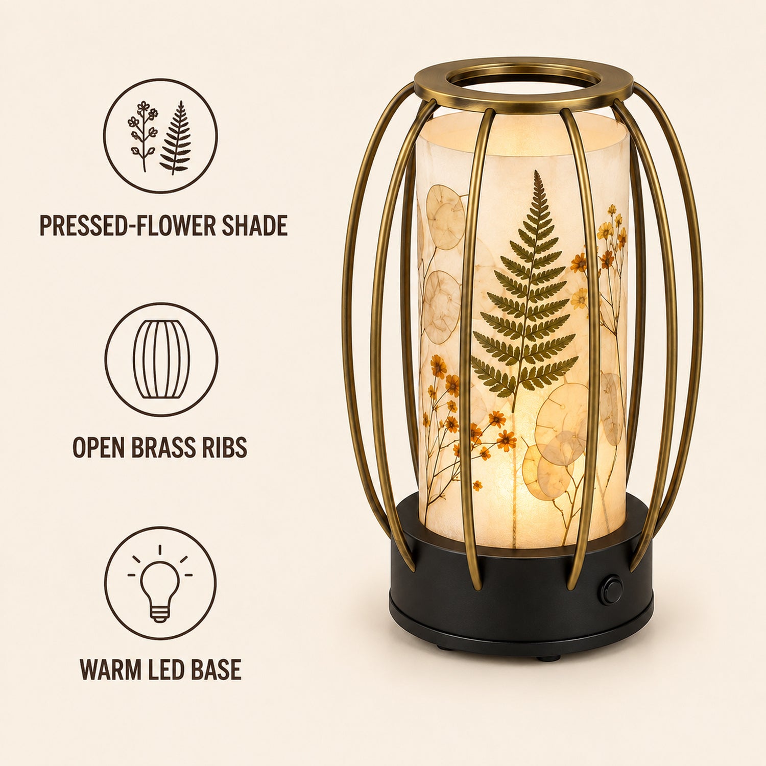 Botanical Shadow LED Lantern - Pressed Flower Decorative Light