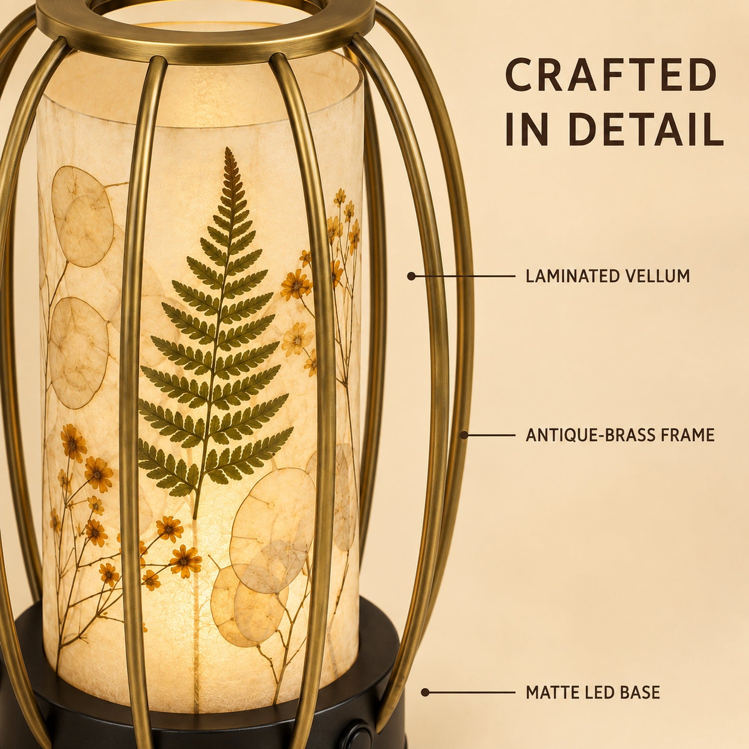 Botanical Shadow LED Lantern - Pressed Flower Decorative Light