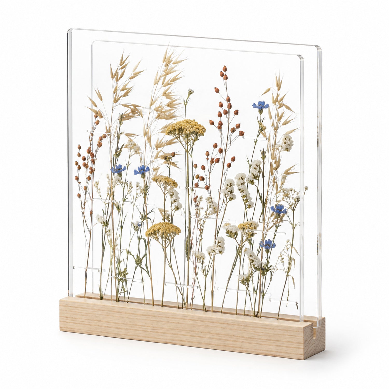 Meadow Window Layered Botanical Frame