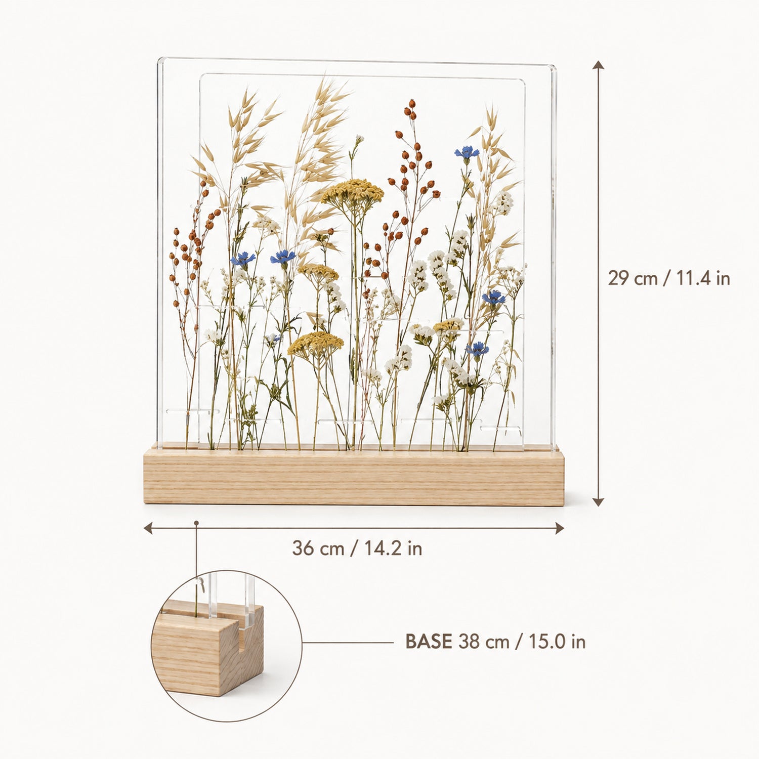 Meadow Window Layered Botanical Frame